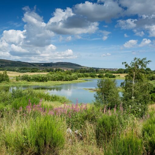 Murton Farm and Nature Reserve, near Forfar