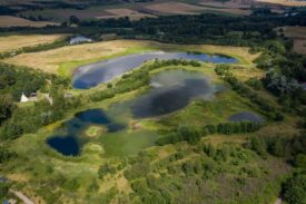 Murton Farm and Nature Reserve, near Forfar