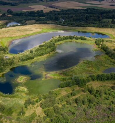 Murton Farm and Nature Reserve, near Forfar