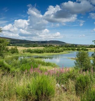 Murton Farm and Nature Reserve, near Forfar
