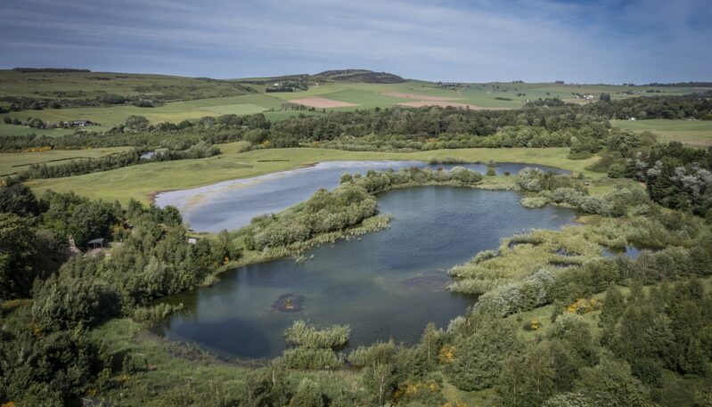 Murton Farm and Nature Reserve, near Forfar