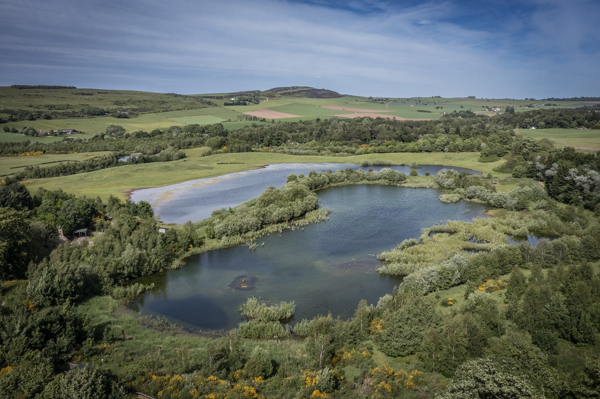 Murton Farm and Nature Reserve, near Forfar