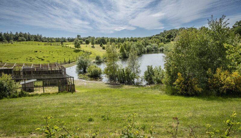 Murton Farm and Nature Reserve, near Forfar