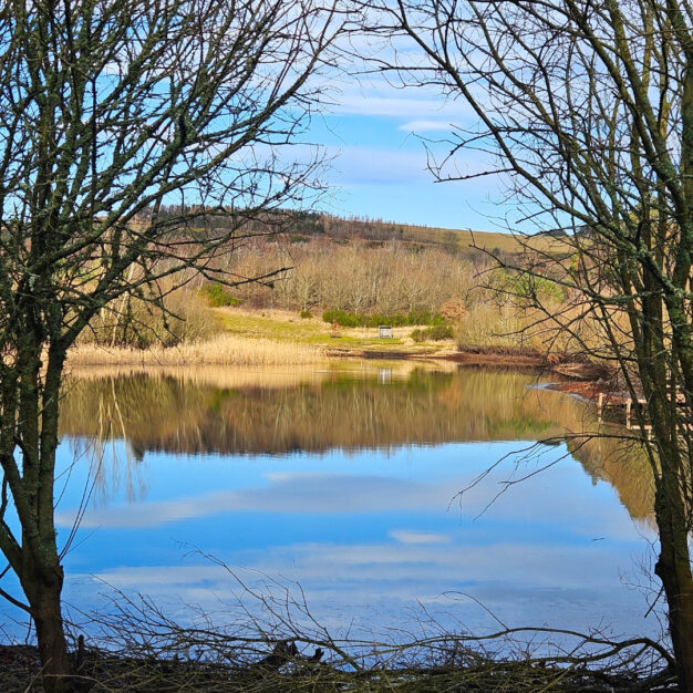 Murton Nature Reserve, near Forfar