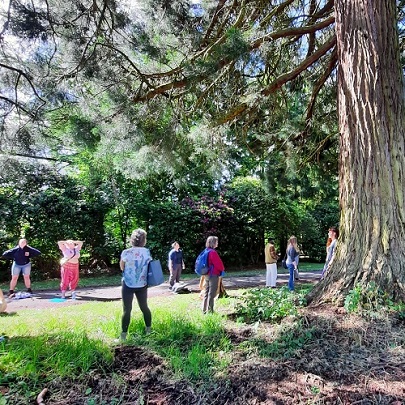 Nature Happy Forest Bathing