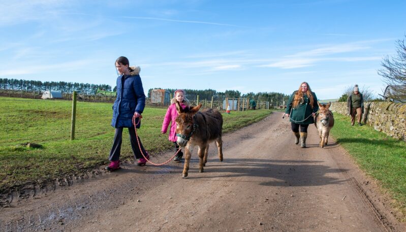Newton Farm Tours, near Forfar