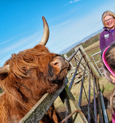Newton Farm Tours, near Forfar