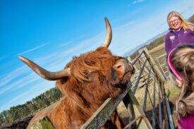 Newton Farm Tours, near Forfar