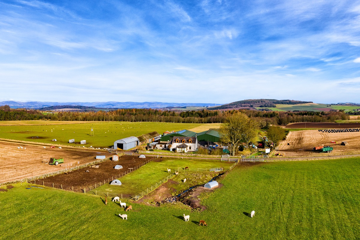 Newton Farm Tours, near Forfar