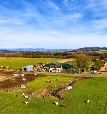 Newton Farm Tours, near Forfar