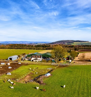 Newton Farm Tours, near Forfar