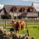 Newton Farm B&B - Accommodation near Forfar
