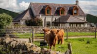 Newton Farm B&B - Accommodation near Forfar