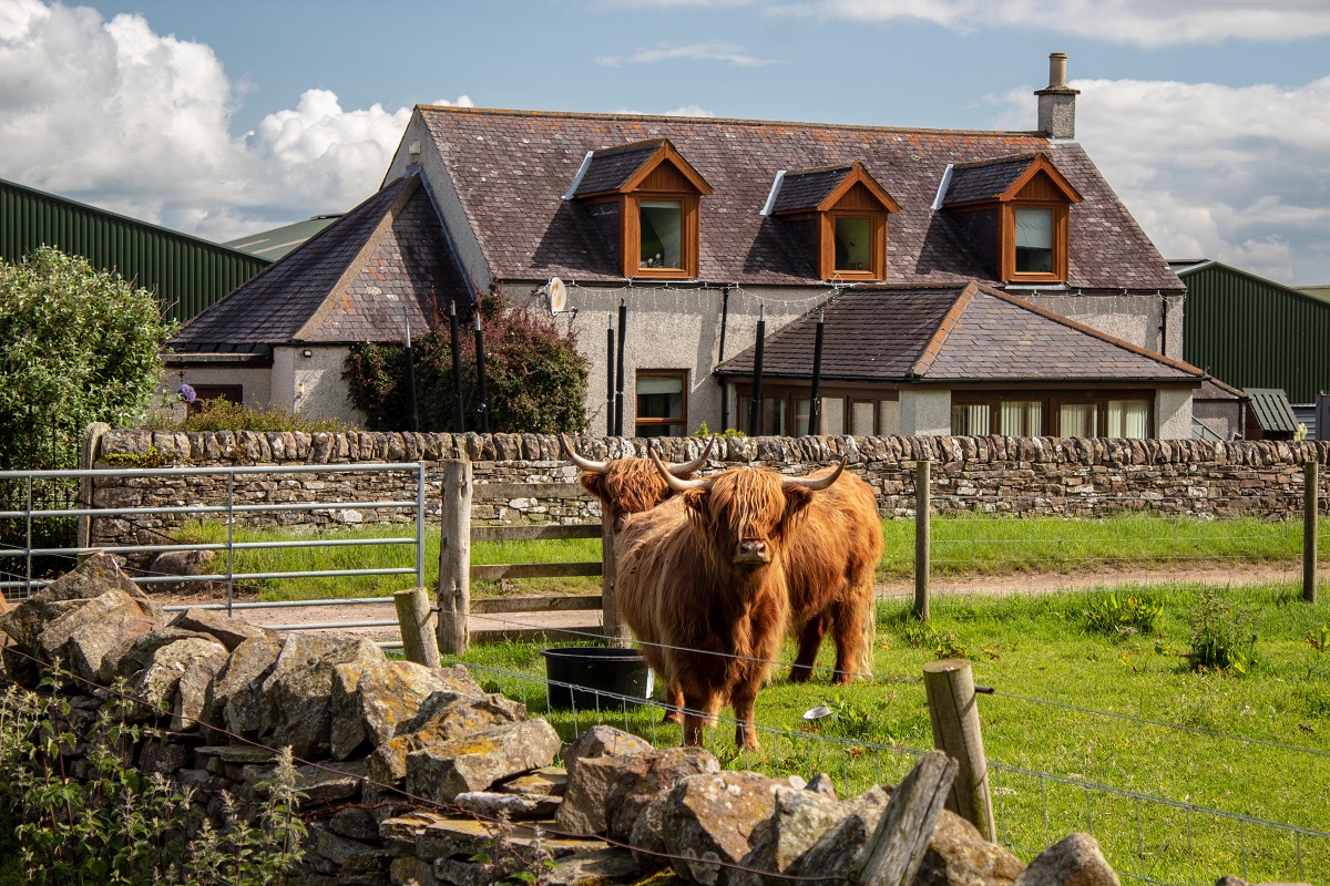 Newton Farm B&B - Accommodation near Forfar