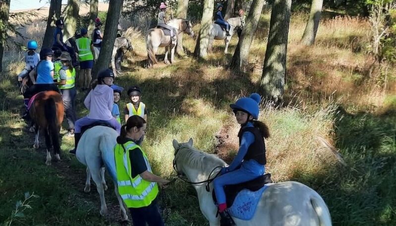 Pathhead Equestrian Centre, Kirriemuir