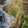 Reekie Linn waterfall, Glen Isla