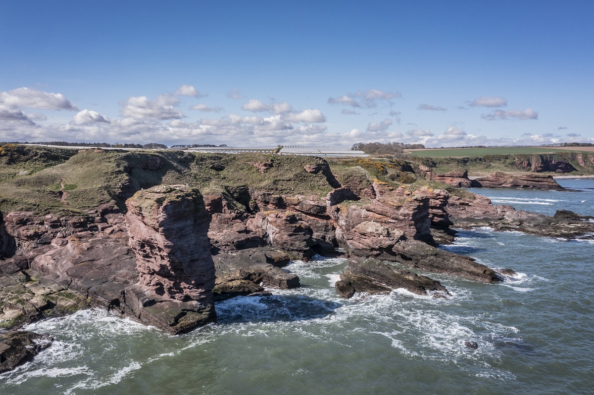 Arbroath Seaton Cliffs, Angus, Scotland