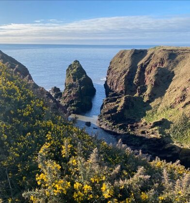 Stories of Stone - guided geology walks of the Arbroath Cliffs