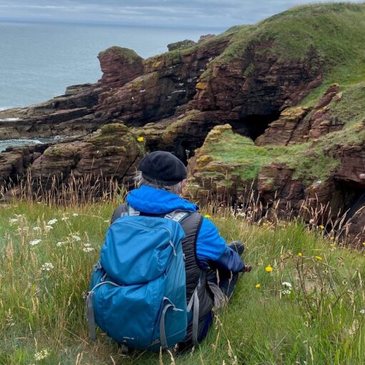Stories of Stone - guided geology walks of the Arbroath Cliffs