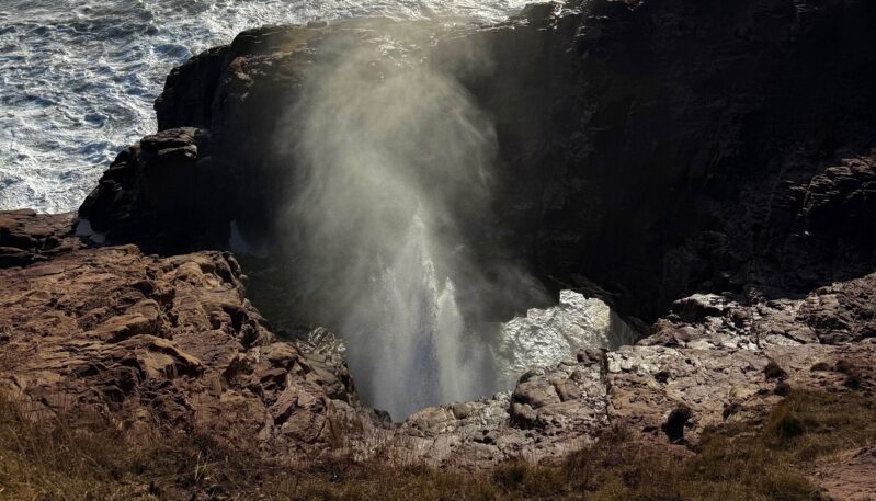 Stories of Stone - guided geology walks of the Arbroath Cliffs