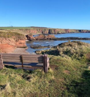 Stories of Stone - guided geology walks of the Arbroath Cliffs