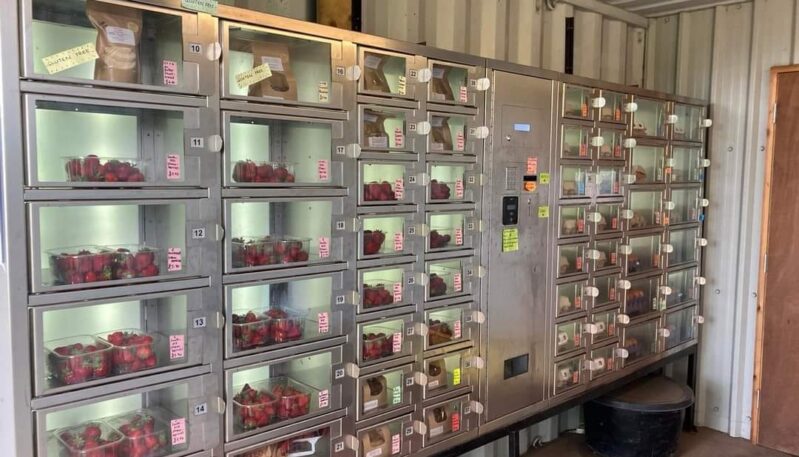 Tillygloom Farm, Brechin