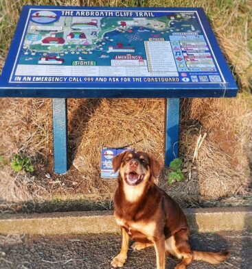 Victoria Park, Arbroath