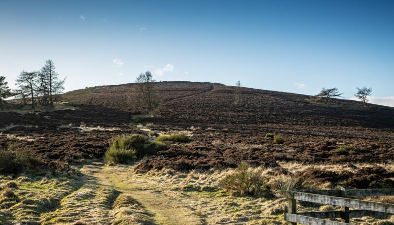 White Caterthun, near Edzell