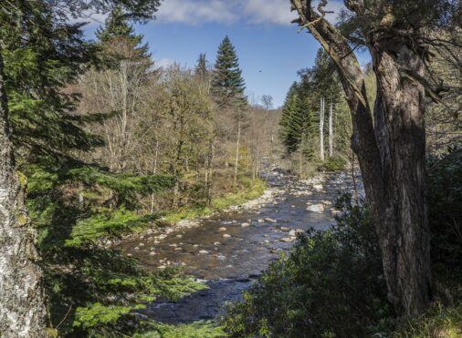 Wild South Esk Trail - Cortachy
