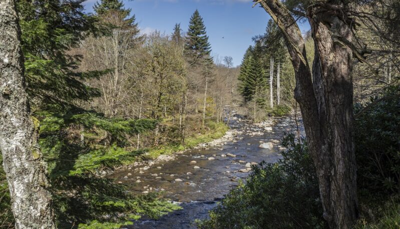 Wild South Esk Trail - Cortachy