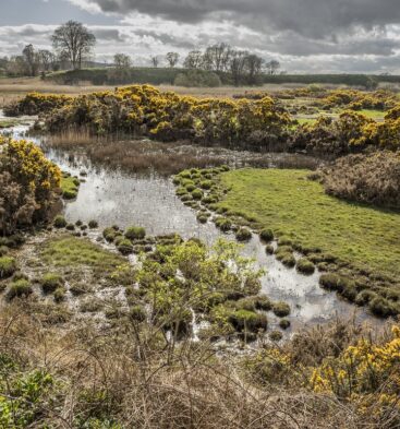 Wild South Esk Trail - The Lurgies, Montrose