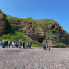 Balgownie Geoscience - Guided GeoTours in Arbroath and Montrose