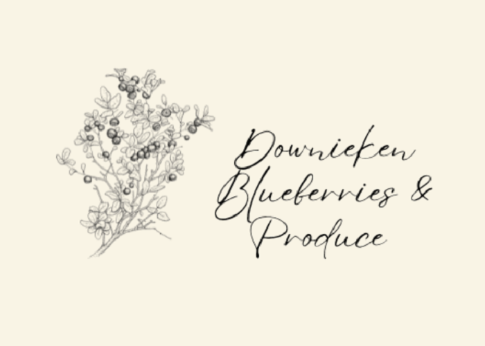 Downieken Blueberries and Produce