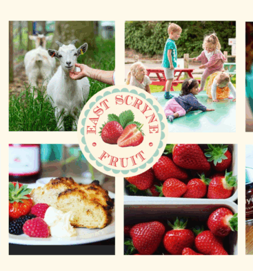 East Scryne Fruit Farm Shop, Tearoom and Playpark