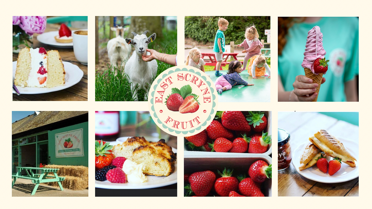 East Scryne Fruit Farm Shop, Tearoom and Playpark